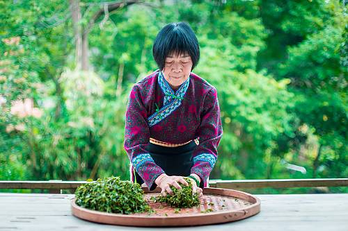 Designing the digital platform for safeguarding foodways - I